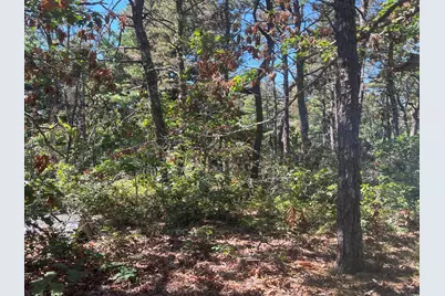 10 Shadbush Circle, Mashpee, MA 02649 - Photo 10