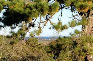 50 John Hall Cartway, Yarmouth, MA 02675 - Photo 18