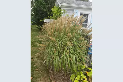 292 Route 28 #UNIT 1, Harwich, MA 02645 - Photo 18