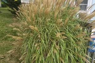 292 Route 28, Harwich, MA 02645 - Photo 18