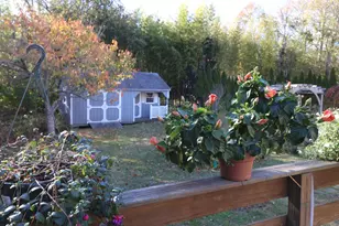 467 Main St, Dennis, MA 02670 - Photo 54