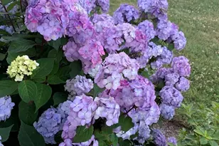 30 Highland Terrace, Plymouth, MA 02360 - Photo 36