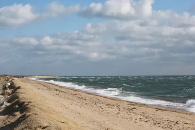 16 Gold Leaf Lane, Mashpee, MA 02649 - Photo 52