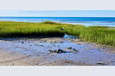 63 Trevor Lane #UNIT 63, Brewster, MA 02631 - Photo 12