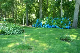 36 Island St, Dennis, MA 02641 - Photo 38
