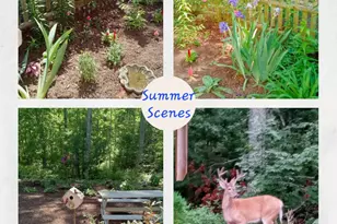 40 Woodrise, Falmouth, MA 02540 - Photo 34