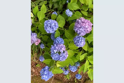 300 Falmouth Road #APT 6B, Mashpee, MA 02649 - Photo 22