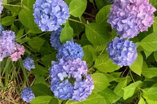 300 Falmouth Rd, Mashpee, MA 02649 - Photo 22