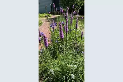 22 Pilgrim Lake Terrace, Orleans, MA 02653 - Photo 52