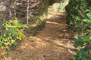 1061 State Hwy, Eastham, MA 02642 - Photo 20