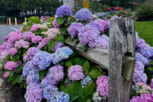 26 Winslow St, Provincetown, MA 02657 - Photo 44