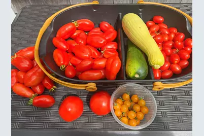 337 Jonathans Way, Brewster, MA 02631 - Photo 58