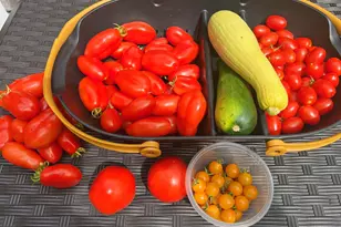 337 Jonathans Way, Brewster, MA 02631 - Photo 58