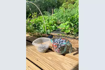 337 Jonathans Way, Brewster, MA 02631 - Photo 54