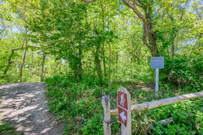 169 Tisquantum Road, Chatham, MA 02633 - Photo 38