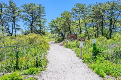 169 Tisquantum Road, Chatham, MA 02633 - Photo 40