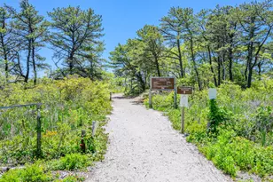 169 Tisquantum Rd, Chatham, MA 02633 - Photo 40