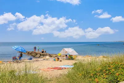 33 Fern Lane, Falmouth, MA 02543 - Photo 36