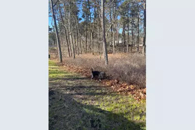30 Sam Hollow Road, Wellfleet, MA 02667 - Photo 4