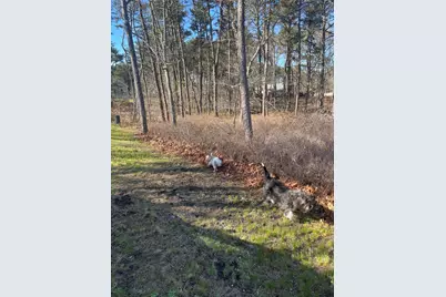 30 Sam Hollow Road, Wellfleet, MA 02667 - Photo 10