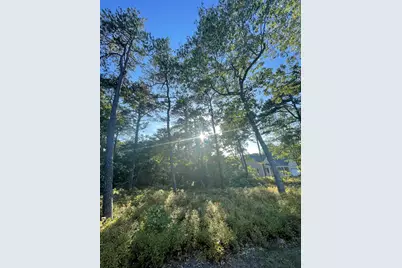 30 Sam Hollow Road, Wellfleet, MA 02667 - Photo 6