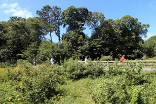 36 Old Colony Way, Orleans, MA 02653 - Photo 20