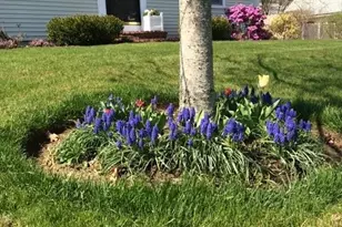 121 Eileen St, Yarmouth, MA 02675 - Photo 2