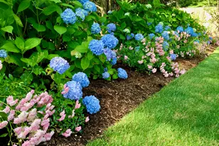 121 Eileen St, Yarmouth, MA 02675 - Photo 46