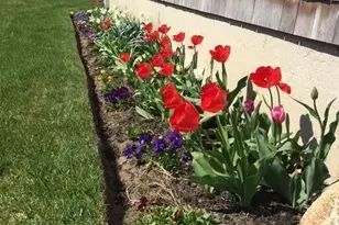 121 Eileen St, Yarmouth, MA 02675 - Photo 48