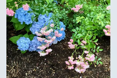 121 Eileen Street, Yarmouth, MA 02675 - Photo 44