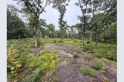 0 Old Chatham Road, Brewster, MA 02631 - Photo 4