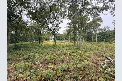 235 Old Chatham Road, Brewster, MA 02631 - Photo 8