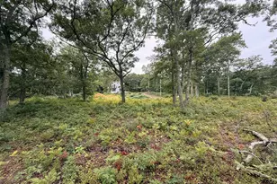 235 Old Chatham Rd, Brewster, MA 02631 - Photo 8