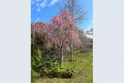 13 Allen Street, Harwich, MA 02645 - Photo 22