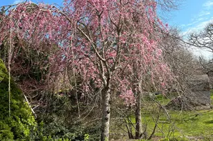 13 Allen St, Harwich, MA 02645 - Photo 22