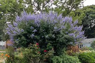 16 Old Salt Works Rd, Chatham, MA 02633 - Photo 46