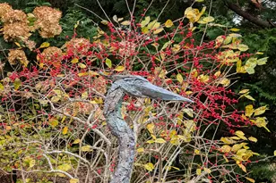 16 Old Salt Works Rd, Chatham, MA 02633 - Photo 50