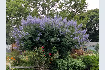 16 Old Salt Works Road, Chatham, MA 02633 - Photo 38