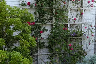 16 Old Salt Works Rd, Chatham, MA 02633 - Photo 14