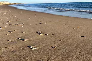 34 Pleasant St, Dennis, MA 02639 - Photo 20