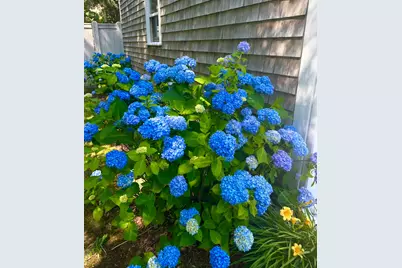 19 Tiller Drive, Falmouth, MA 02536 - Photo 26