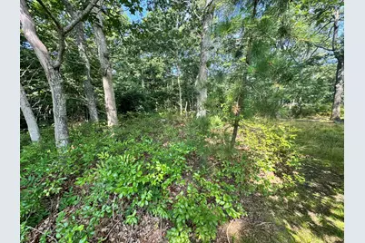 7 Highland Avenue, Tisbury, MA 02568 - Photo 4