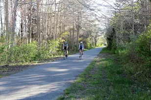 88 Woodview Dr, Brewster, MA 02631 - Photo 42