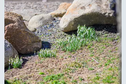 309 Great Fields Road, Brewster, MA 02631 - Photo 6