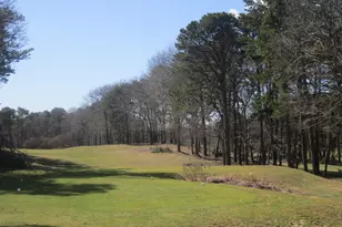 3212 Heatherwood, Yarmouth, MA 02675 - Photo 36