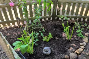 70 Trowbridge Path, Yarmouth, MA 02673 - Photo 66