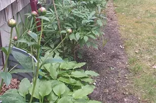 11 Webquish Ln, Mashpee, MA 02649 - Photo 34