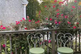 17 Shore Rd, Truro, MA 02666 - Photo 18