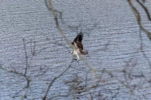 15 Riverview Ave, Mashpee, MA 02649 - Photo 30