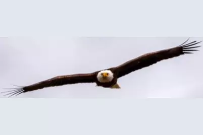 15 Riverview Avenue #UNIT D, Mashpee, MA 02649 - Photo 32